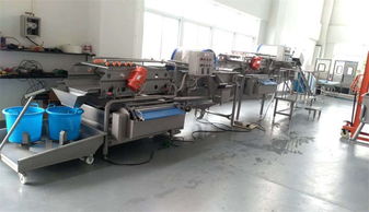 凈菜加工流水線 果蔬清洗機 果蔬加工廠清洗設備廠家直銷定制