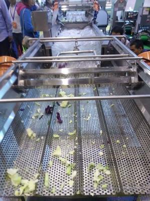 天翔直銷土豆 山芋 山藥等清洗去皮機 質(zhì)量優(yōu) 效果好