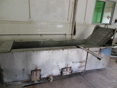 【專業生產全自動橄欖菜洗菜機】價格,廠家,圖片,其他果蔬加工機械,揭東縣興建食品廠-