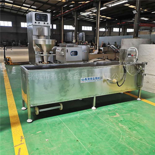 雞肉肉丸水煮線廠家多重優惠