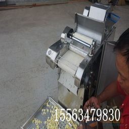 葉莖類蔬菜切菜機 切水果片機器 小型全自動切菜機