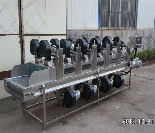 嘉信工業 吉林西藍花清洗風干加工設備