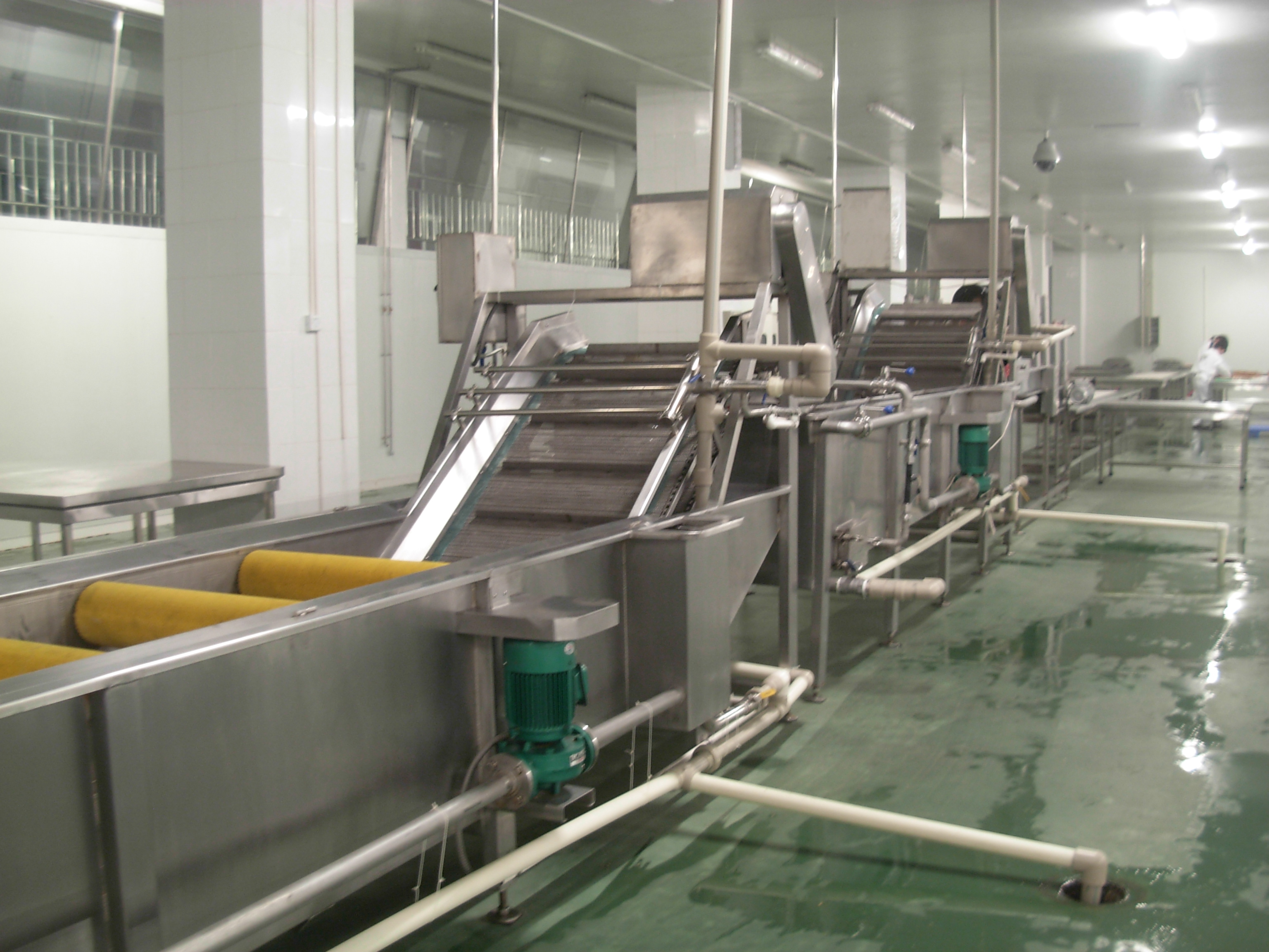 桐柏蔬菜前處理加工生產線生產廠家