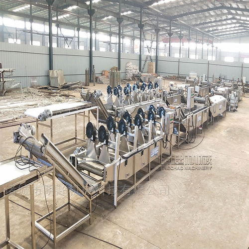 河北凈菜進京項目 凈菜全套加工設備與蔬菜加工機械的全面解析