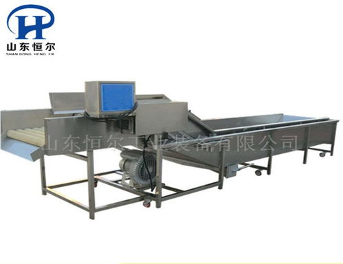 山東恒爾 專業(yè)商用生菜清洗加工設(shè)備的領(lǐng)航者